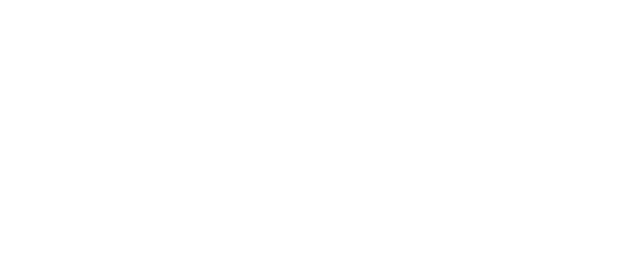 logo-04