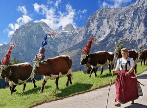 رحلة التشيك النمسا سويسرا