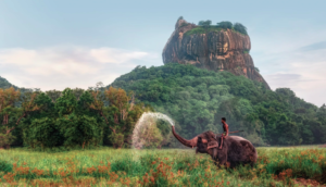 رحلات سريلانكا