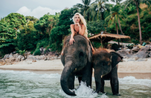 رحلات سريلانكا